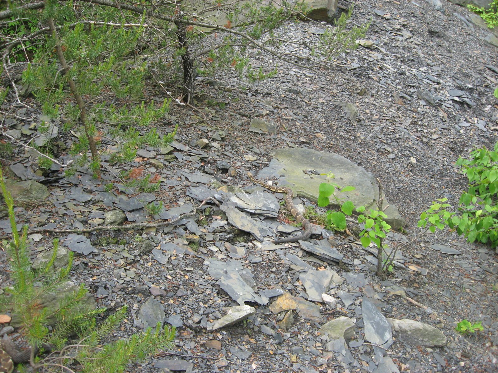 img 7129